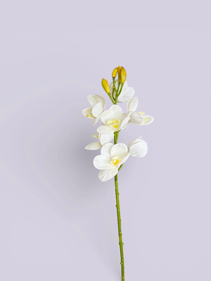 image 190