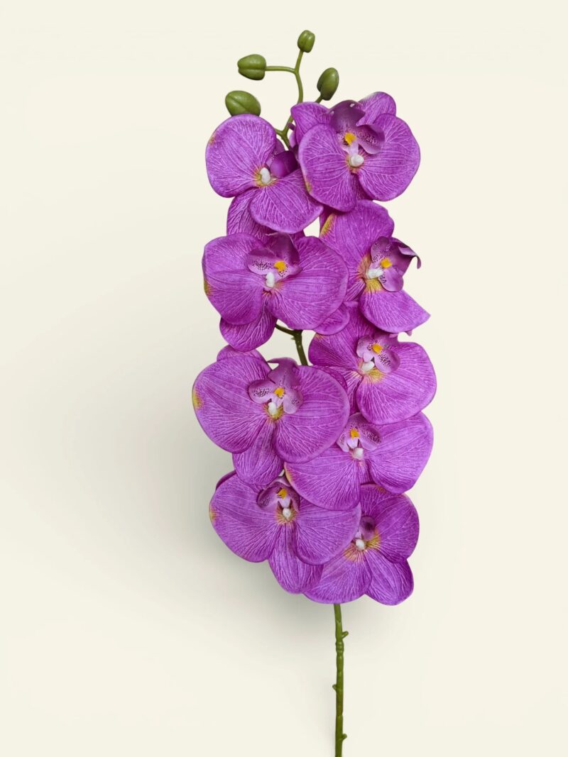 image 223