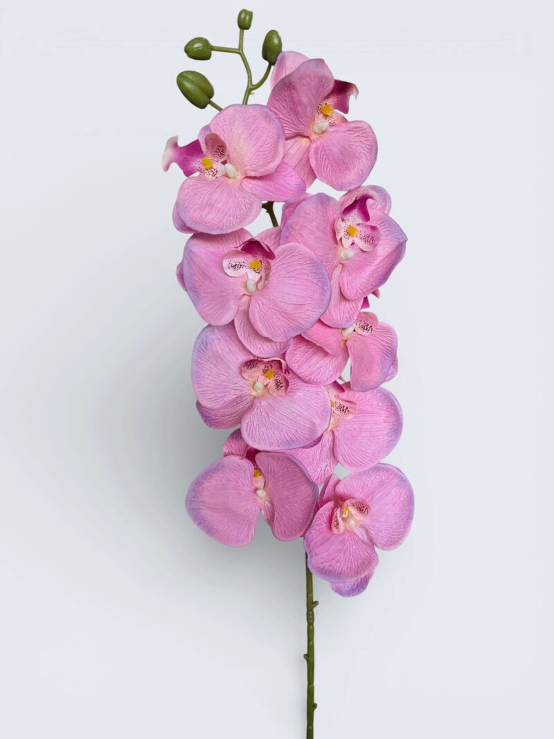 image 225