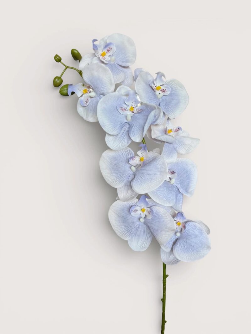 image 227
